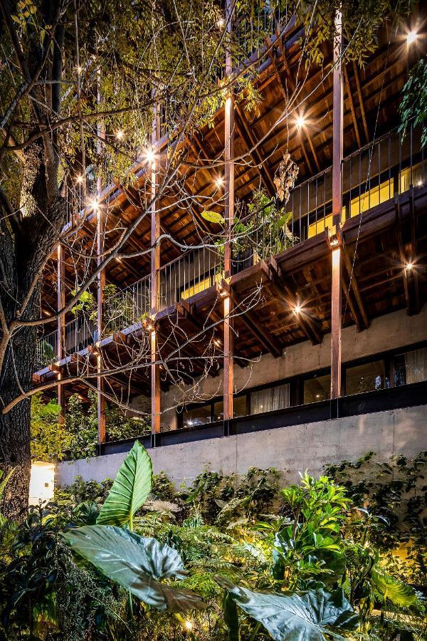 Ana Polanco Apartments Mexico City Ngoại thất bức ảnh