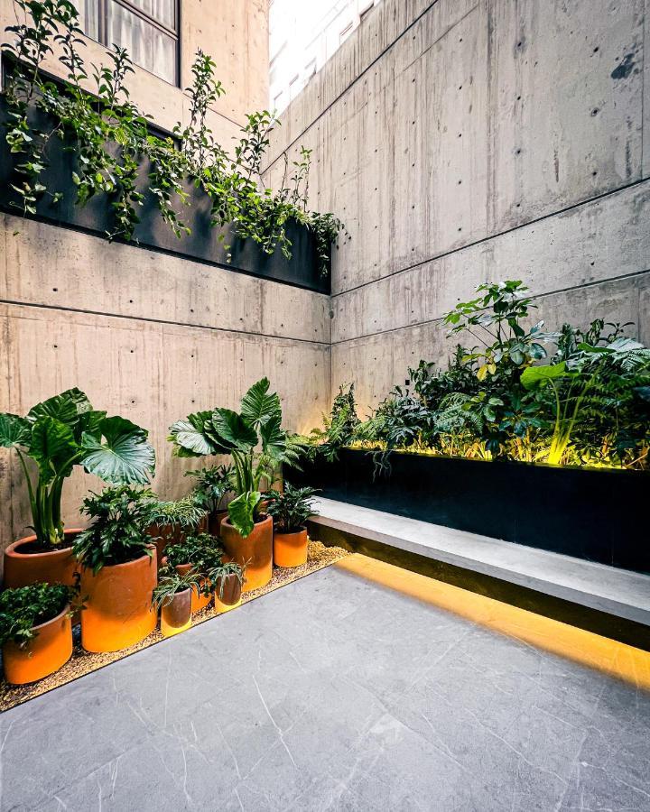 Ana Polanco Apartments Mexico City Ngoại thất bức ảnh